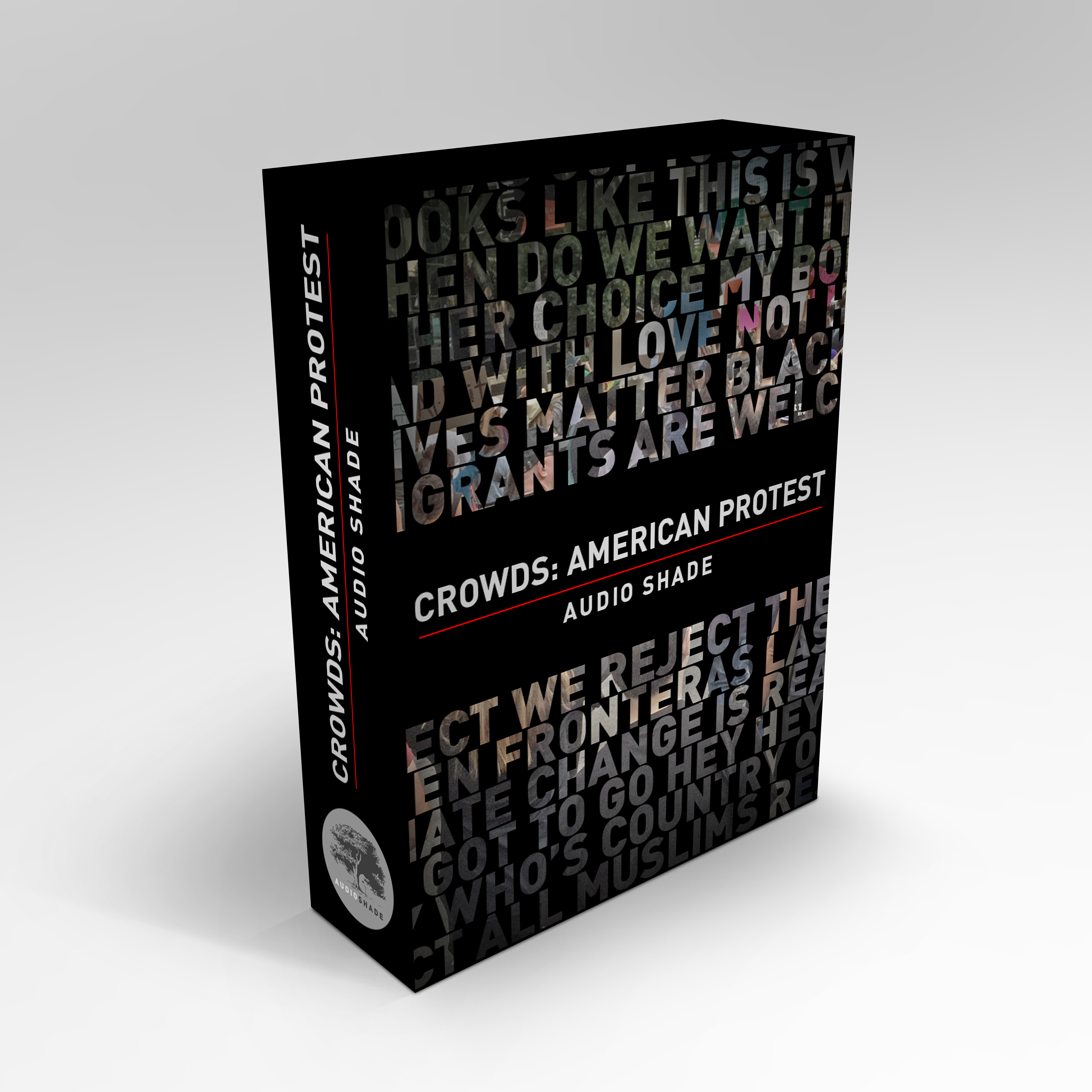 Crowds - American Protest